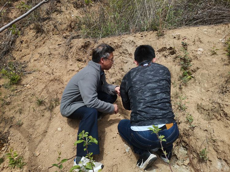 中国·太阳成集团tyc9728(股份)有限公司-官方网站