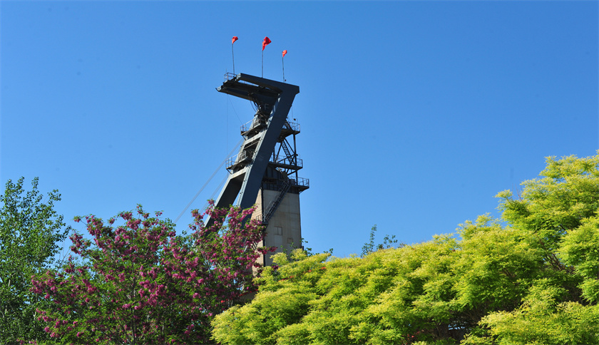 3e60a57c-f921-45a0-9acf-f14a9b132aa7