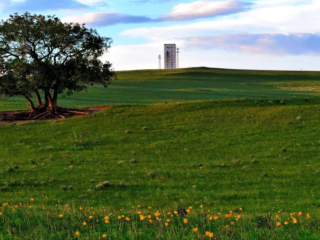 中国·太阳成集团tyc9728(股份)有限公司-官方网站