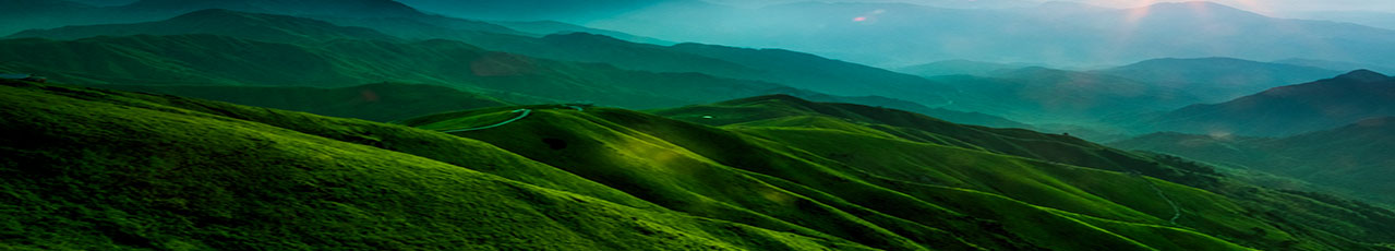 中国·太阳成集团tyc9728(股份)有限公司-官方网站