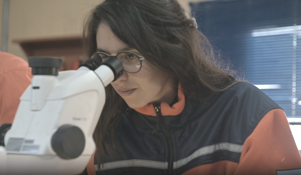 中国·太阳成集团tyc9728(股份)有限公司-官方网站